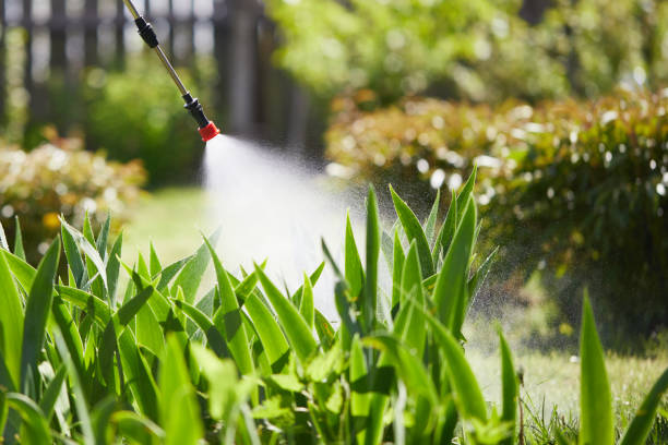 24/7 Emergency Termite Control experts in Berea, KY